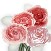 silk roses